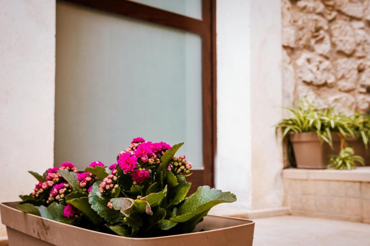 Cuocciu D'amuri Ferienhaus Modica